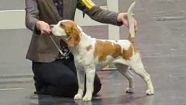 Lilleagle Facebook Page