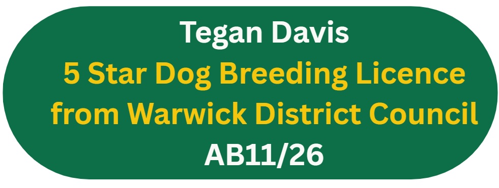 Regulated level Three in Dog Breeding: Welfare and Professional Standards